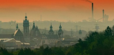 Polska pozwana do TSUE w związku z niedozwolonym poziomem dwutlenku azotu w powiet-61265