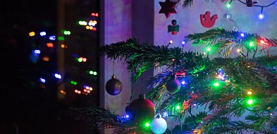 Choinka niejedno ma imię-62756