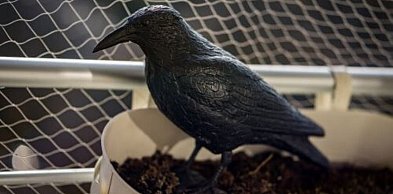 Jak czyścić tablice rejestracyjne w samochodzie? Praktyczny przewodnik dla każdego