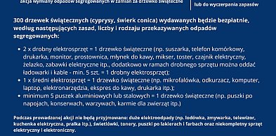 Jarmark Bożonarodzeniowy 2025 w Zawierciu – Świąteczna Eko-Wymiana-61848