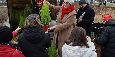 Fotorelacja: Świąteczna Eko-Wymiana - Jarmark Bożonarodzeniowy w Zawierciu-62412