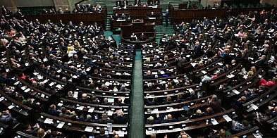 Sejm za zakazem hodowli zwierząt na futra-59685