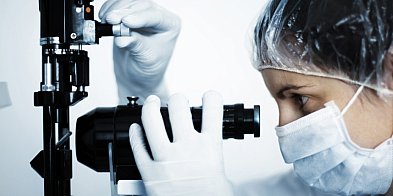 Niezwykły błąd natury - polscy naukowcy odkryli robaki z dwiema głowami-60782