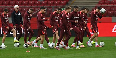 Mecz z Holandią pod zamkniętym dachem-60925