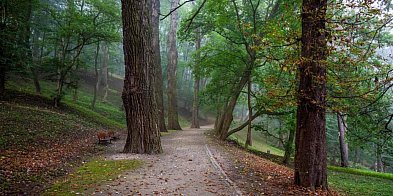 Niektórzy ludzie czują wstręt do przyrody-62077