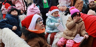 Zawierciańska Wigilia Miejska – wspólne świętowanie-62454