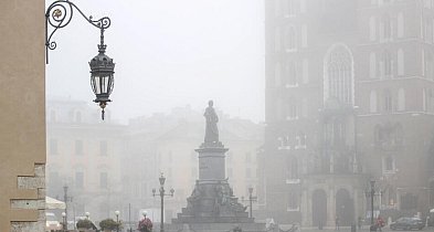Raport: rocznie 40 tys. przedwczesnych zgonów w Polsce z powodu smogu-58119