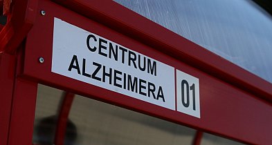 Ekspertka: choroba Alzheimera zaczyna się wiele lat przed pojawieniem się wyraźnyc-58453