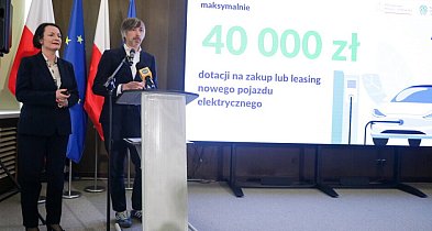 Bolesta: nie będzie ograniczenia dla importowanych aut w rozszerzonej odsłonie dop-59480