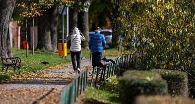Naukowcy: dłuższy spacer lepszy niż kilka krótkich-60181