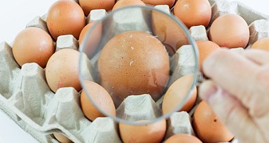 Producenci jaj i MRiRW zapewniają, że jaj nie brakuje, ale są droższe-60982