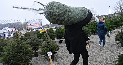 Badanie: przeciętny Polak na święta wyda ponad 1,1 tys. zł-62551