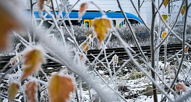 Nowy rok w Kolejach Śląskich zaczął się już 14 grudnia-62733