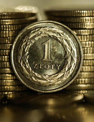 Rada Polityki Pieniężnej obniżyła stopy procentowe o 0,25 pkt proc.-60554