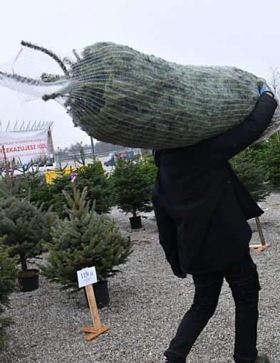 Badanie: przeciętny Polak na święta wyda ponad 1,1 tys. zł-62551