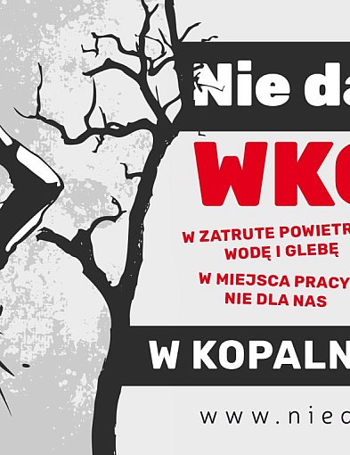 Kopalnia cynku i ołowiu wraca na Jurę. Mieszkańcy i samorządowcy mówią nie!