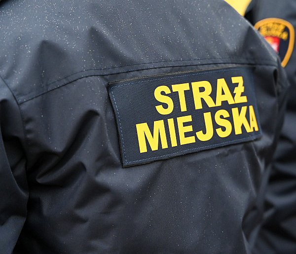 Zapuka strażnik, zapłacisz karę. Ruszyły kontrole w całej Polsce-59590