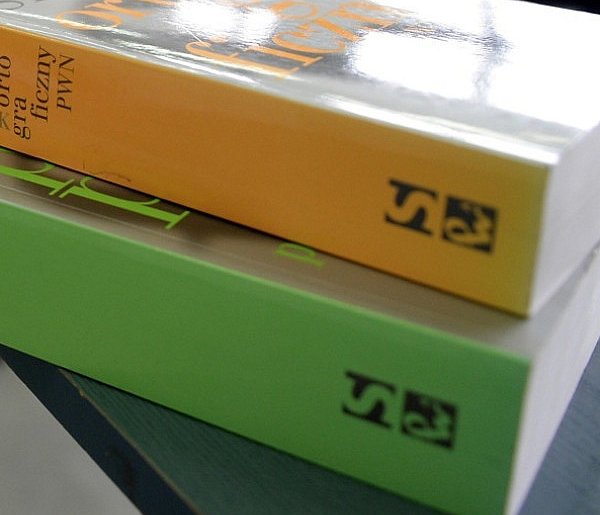 Współautorka benchmarku OneRuler: nie pokazaliśmy wcale, że język polski jest najl-60702