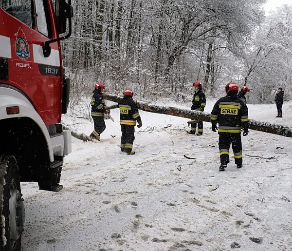 2101 interwencji strażaków po opadach śniegu i deszczu ze śniegiem-61520