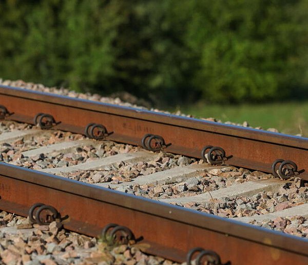 Tysiące drzew i krzewów zostanie posadzonych przy linii kolejowej Podłęże–Piekiełk-61772