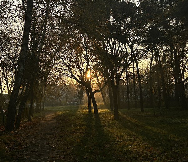 Nadchodzi najkrótszy dzień w 2025 roku. Sprawdź, kiedy przypadnie-62654