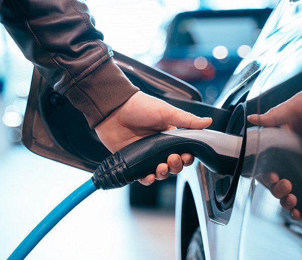 Coraz częściej dochodzi do takich kradzieży. Powody zaskakują-63486