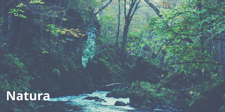 Naukowcy chcą uzyskać genomy wszystkich gatunków europe-63255