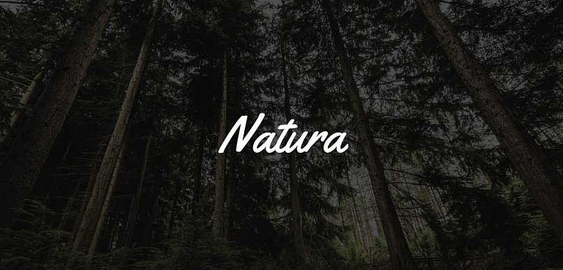 MKiŚ proponuje ścisłą ochronę dla pięciu gatunków ptaków