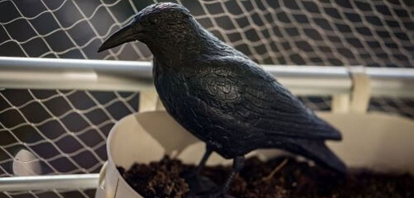 Jak czyścić tablice rejestracyjne w samochodzie? Praktyczny przewodnik dla każdego