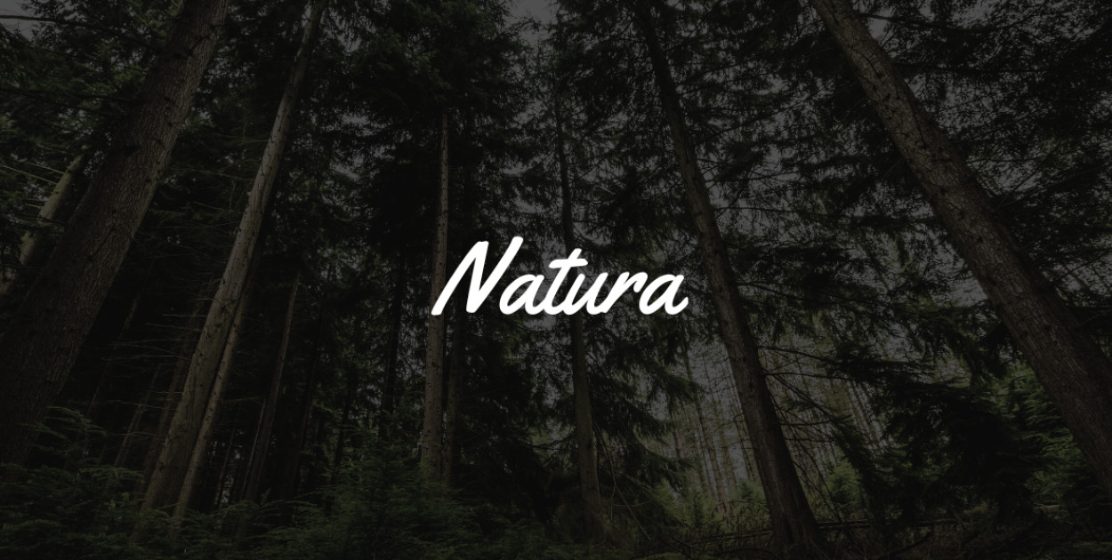 MKiŚ proponuje ścisłą ochronę dla pięciu gatunków ptaków